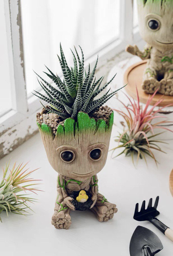 Cute plant pot