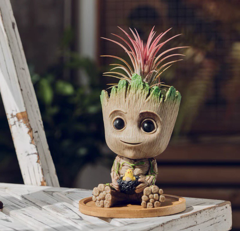 Cute plant pot