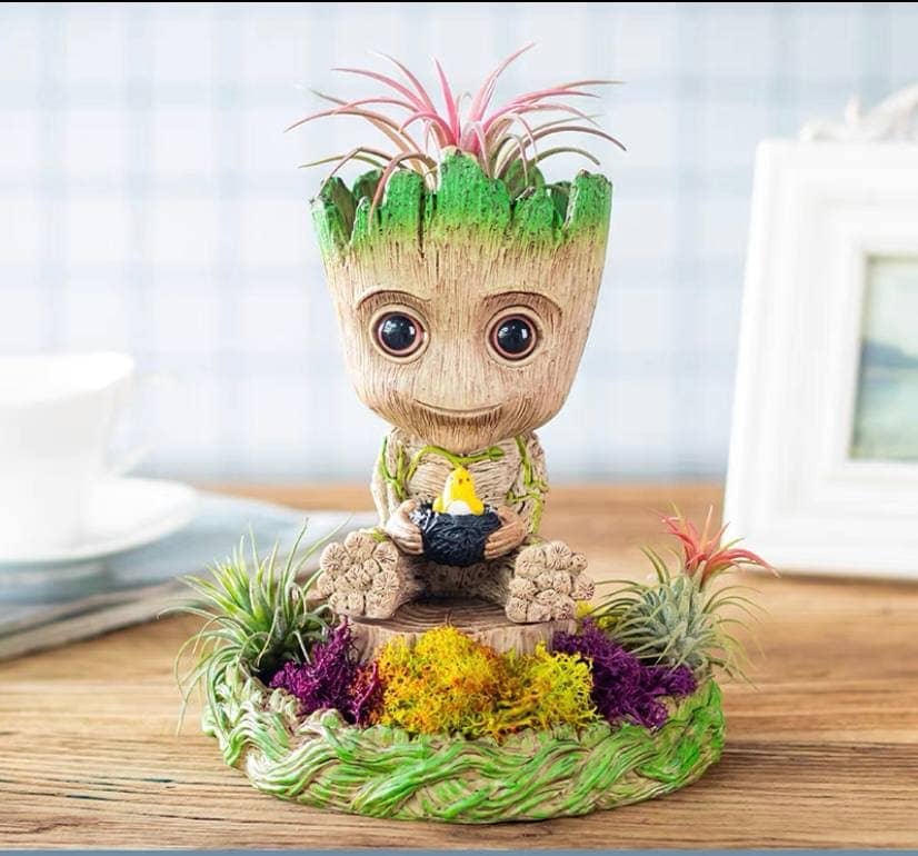 Cute plant pot