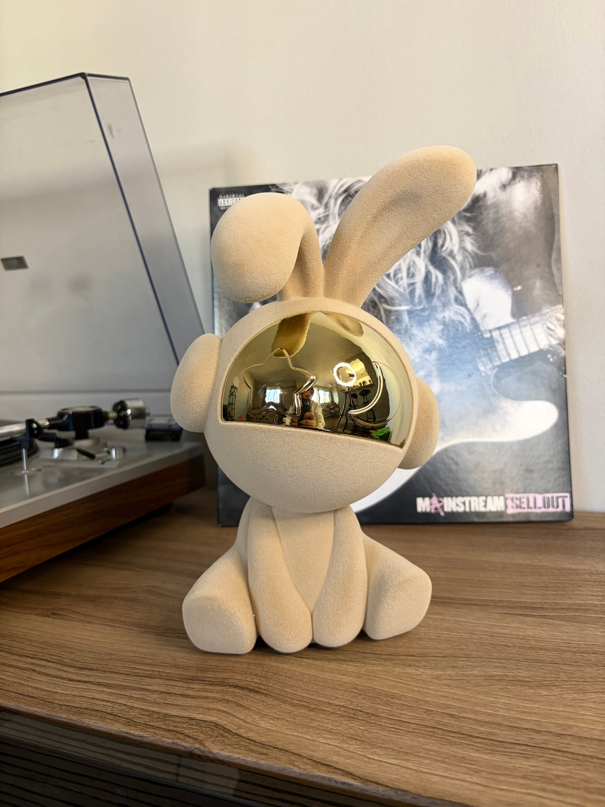 Rabbit Astronaut
