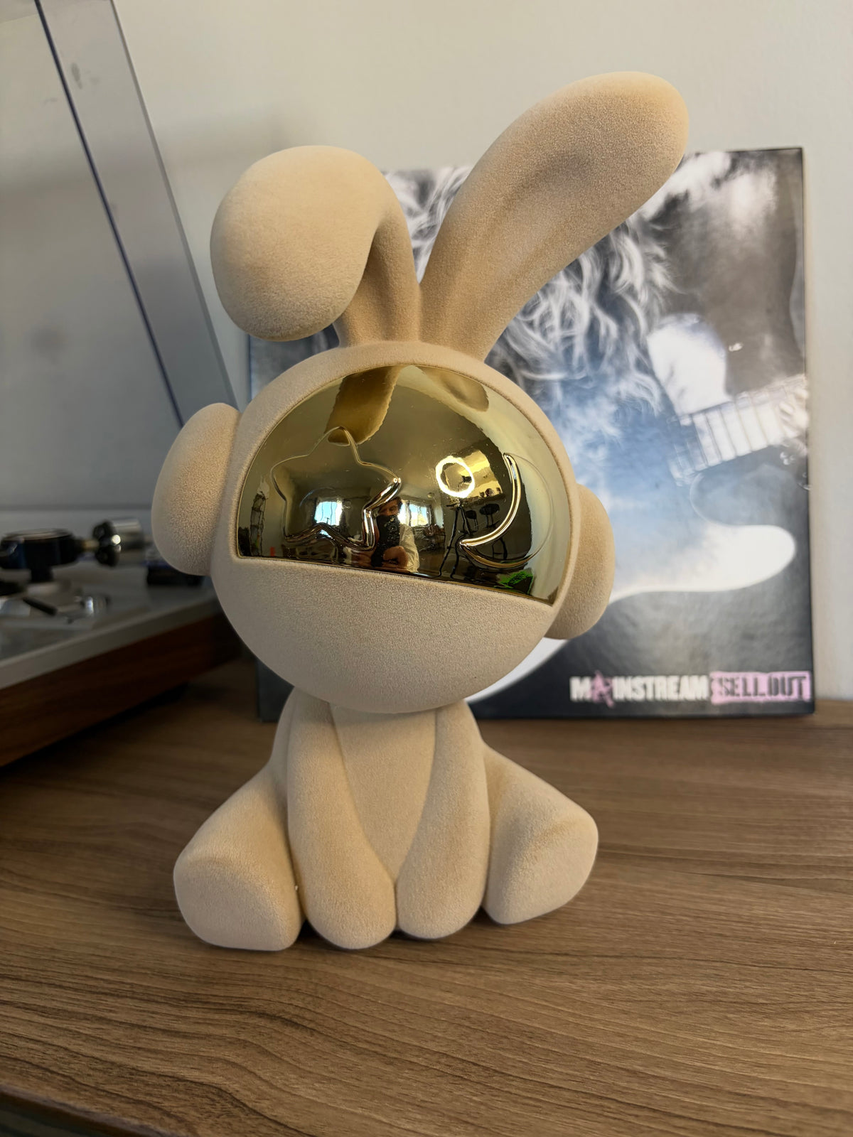 Rabbit Astronaut